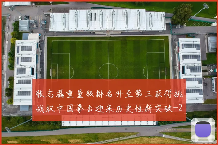 张志磊重量级排名升至第三获得挑战权中国拳击迎来历史性新突破